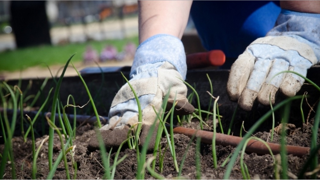 British Gardens in Time-BBC Four