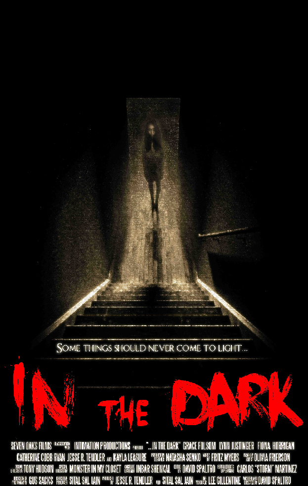 In the Dark Poster