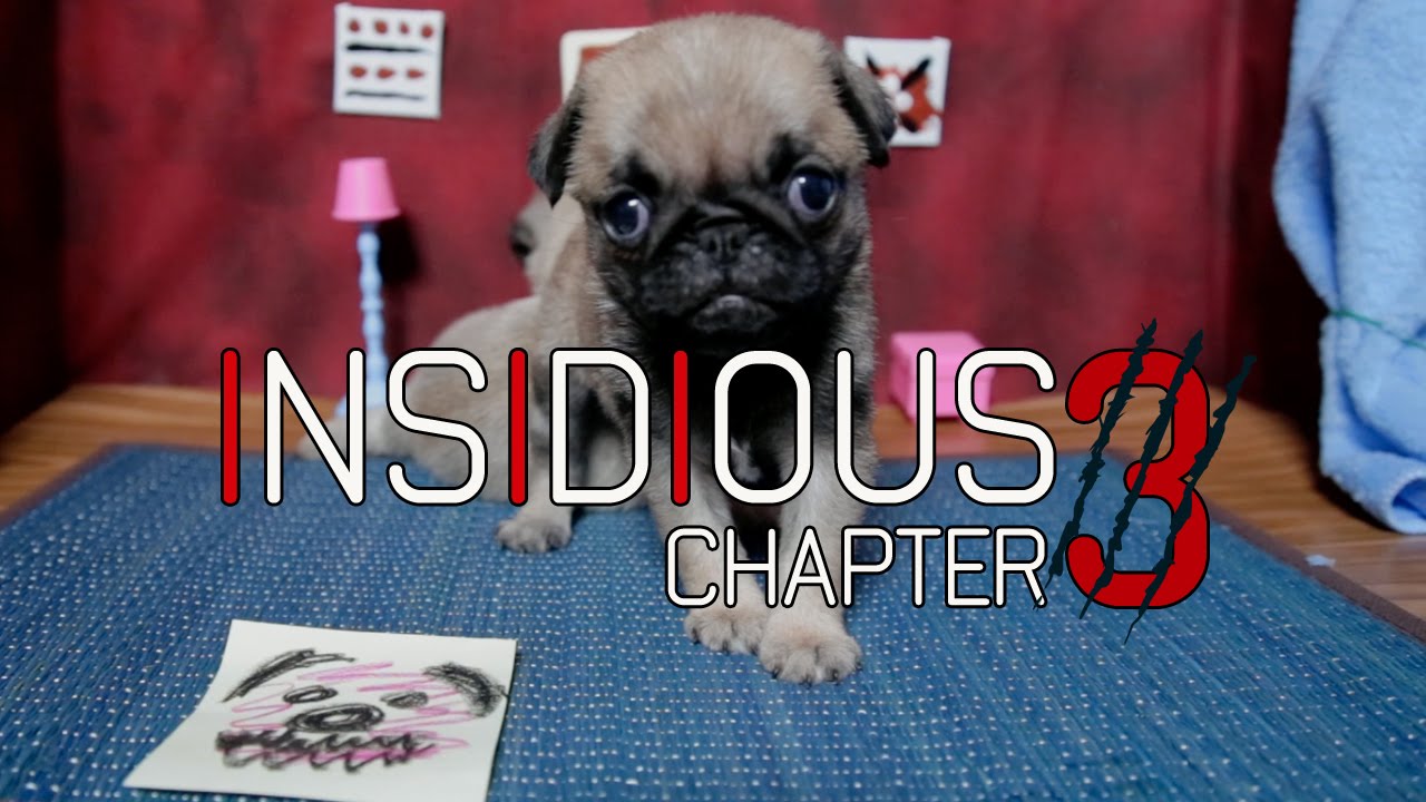 Insidious: Chapter 3 and The Pet Collective Create the Cute Pug Puppy Video