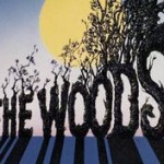 Into The Woods Thumb 150x150 The Big Wedding Cast Experiences Pre Wedding Jitters in New Trailer and Photos