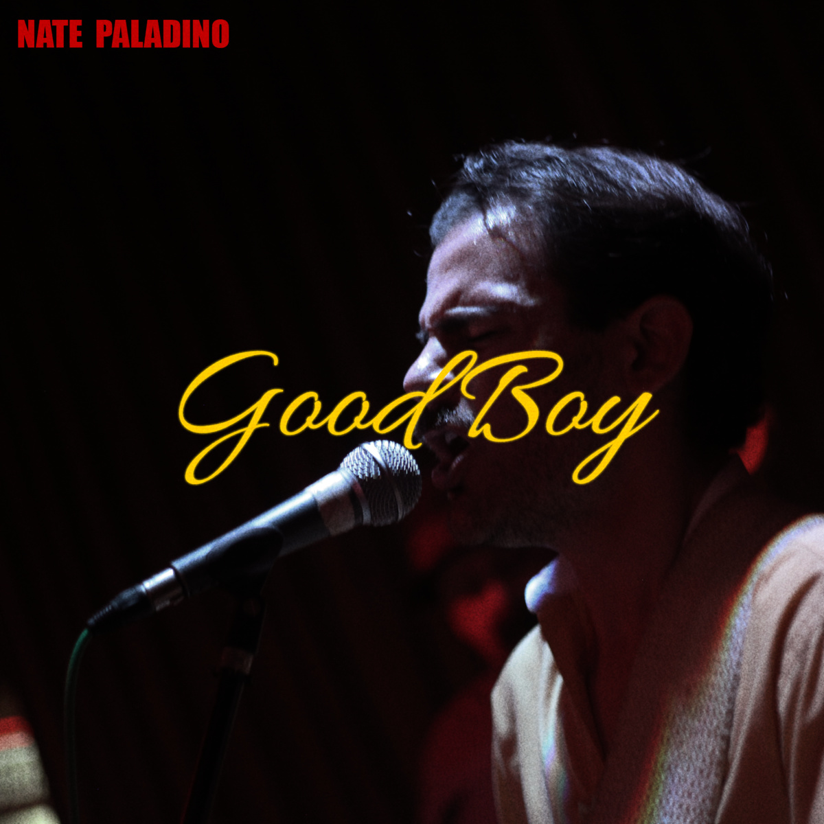 Nate Paladino Good Boy EP Review