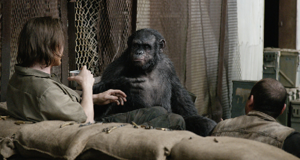 See the Dawn of the Planet of the Apes In New International Clip