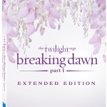 TwilightBreakingDawn Part1 Extended BD CoverArt 150x150 Twilight Breaking Dawn Pillow Up For Auction