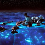 the life of pi 150x150 The Contender 2012   Zero Dark Thirty