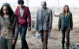 Warm Bodies