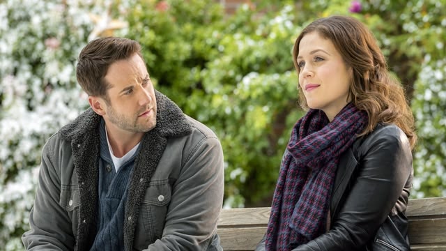 Discover the Heartwarming Films to Light Up Your Evening!