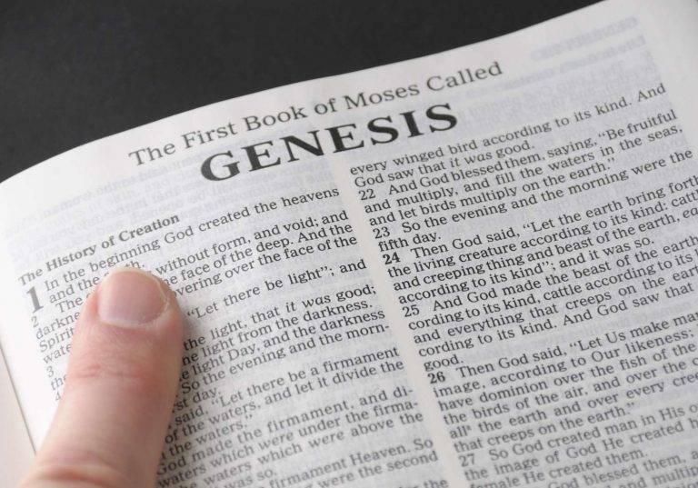 peta-takes-on-the-bible-with-a-vegan-rewrite-animal-rights-message