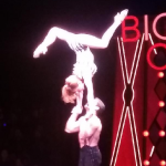 Britney’s Circus The 10th Anniversary Contourtionists
