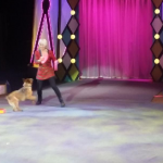 Britney’s Circus The 10th Anniversary Dog