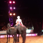Britney’s Circus The 10th Anniversary Horses 2