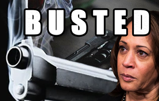 California State Bar and Vice President Kamala Harris Took Extreme Measures to Stop Attorneys Ronald Gottschalk and the Late Phillip Kay - Vimarsana News