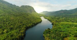 Blockchain Meets Climate Finance: SwissX Carbon’s Integrated Platform and Its Implications for the Carbon Market