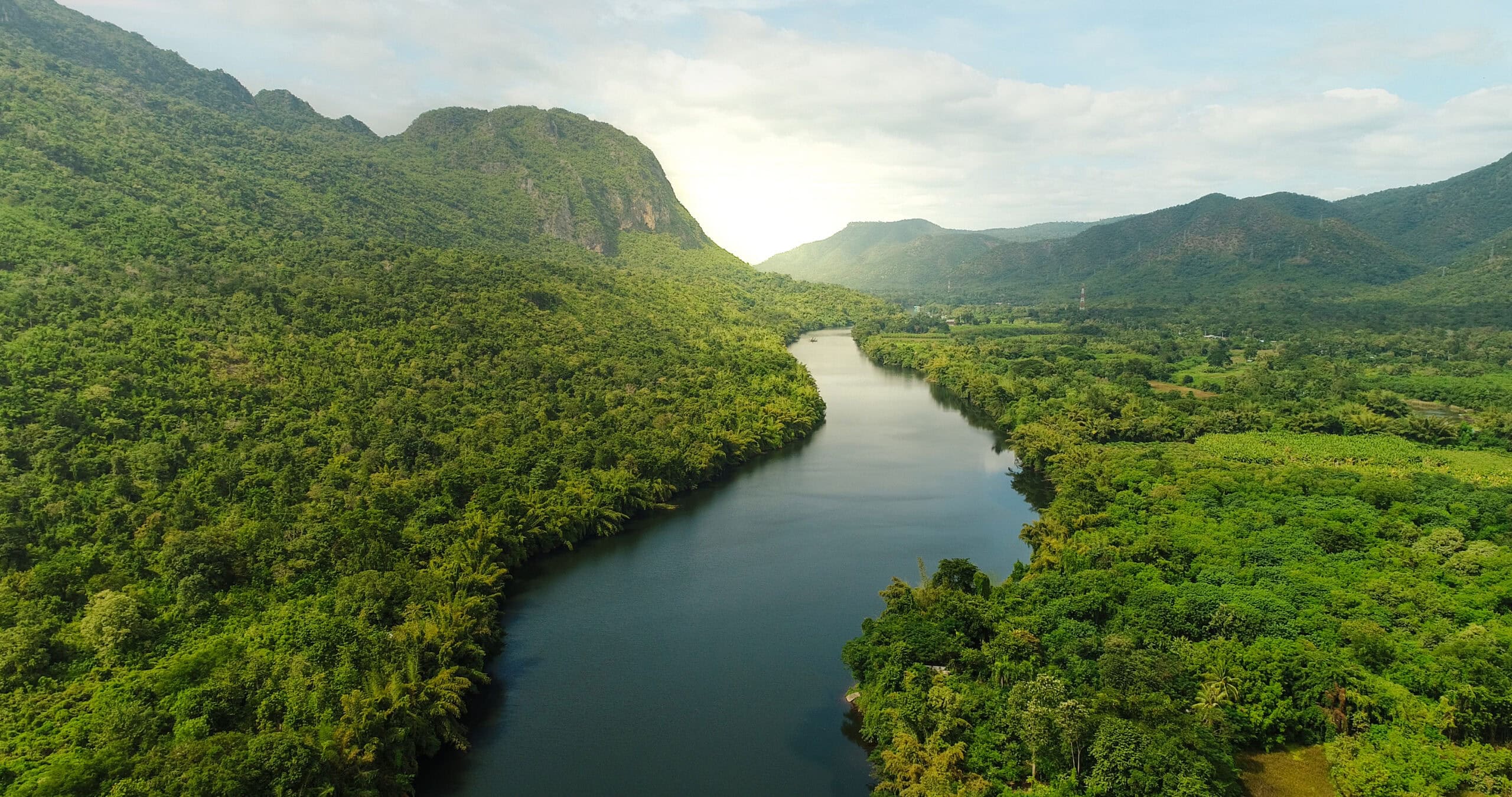 shockya.com - Shockya Team - Blockchain Meets Climate Finance: SwissX Carbon's Integrated Platform and Its Implications for the Carbon Market
