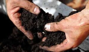 Soil as Infrastructure: Monetizing Natural Capital in Haiti